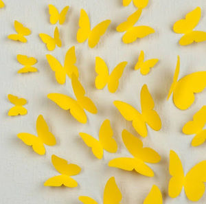 Meet your Posher, Laila